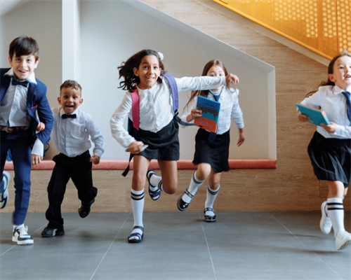 供卵公司:冻囊胚(超详细试管移植冻囊胚一次性成功经验分享)