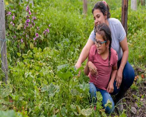 排卵后可以艾灸吗(卵泡12乘11)